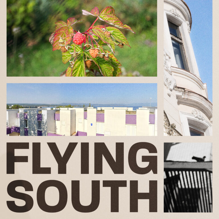 Flying south cover